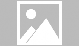 胖太漫画,描绘生活中的欢乐与温馨